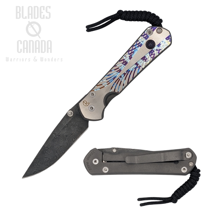 Chris Reeve Small Sebenza 31 Unique Graphic Raindrop Damascus Amethyst #1